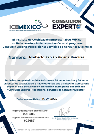 constancia capacitación ec0249 servicios de consultoría general